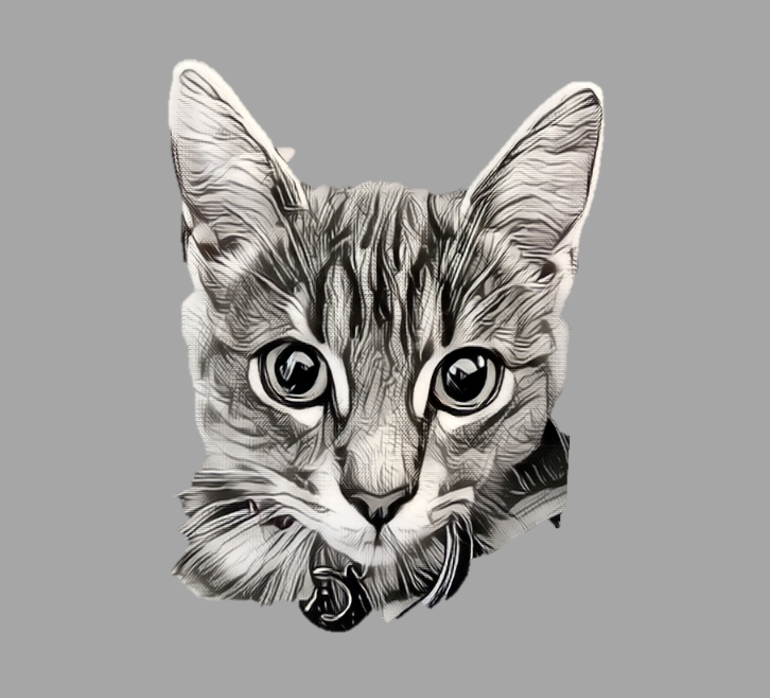 Gia Woodworking | Custom Woodworking Projects | Ottawa, ON, Canada